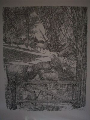 Sheep and Gate Pen & Ink Print